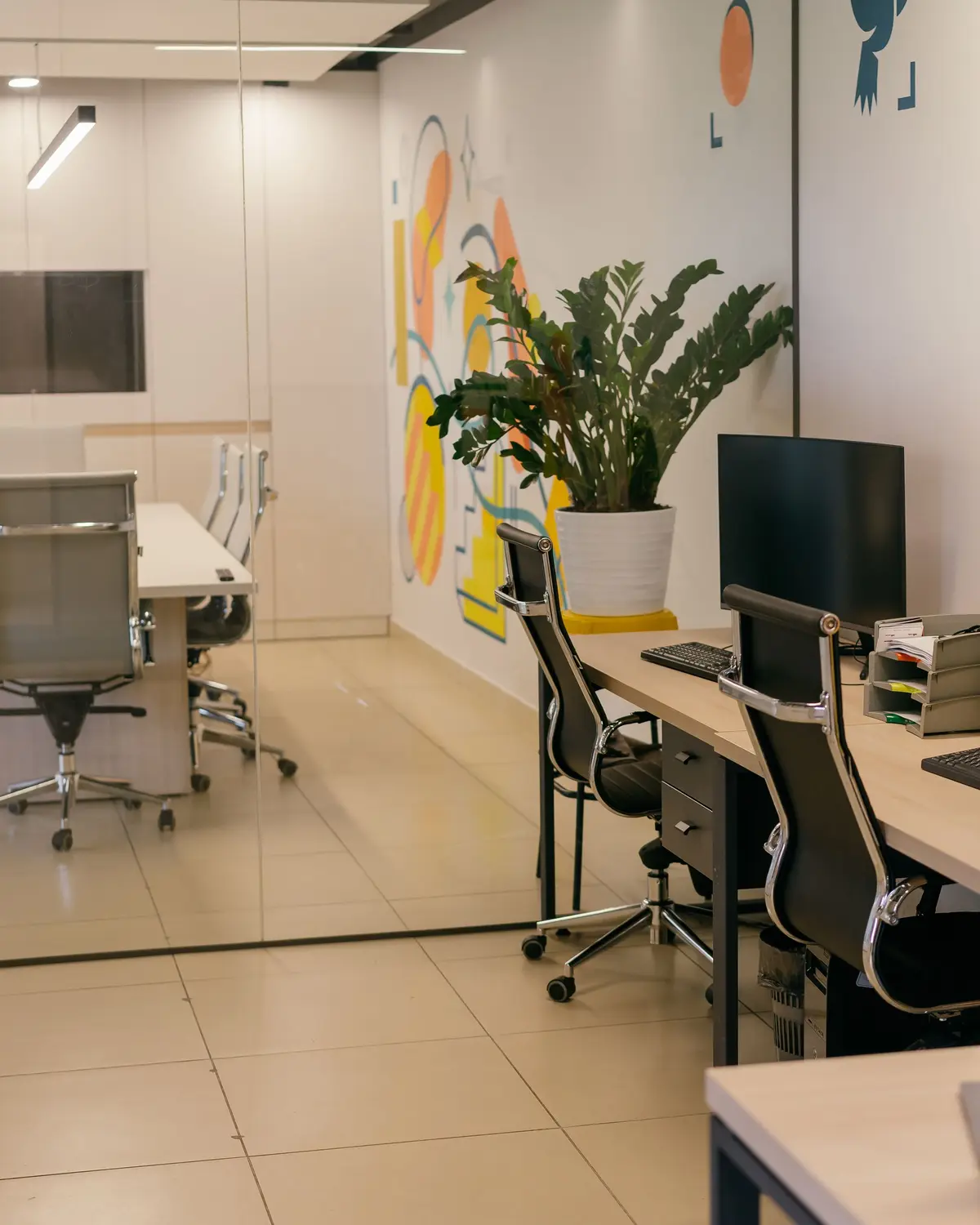 Bright office with glass partitions, desks and a large plant
