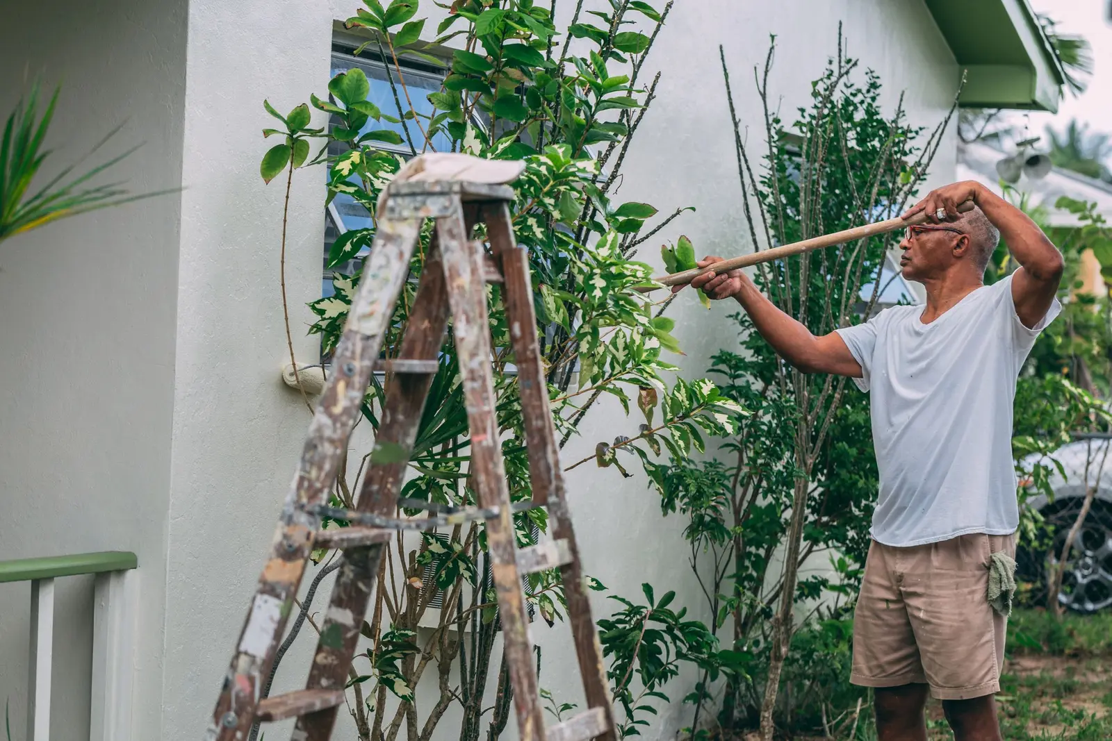 Painter on a ladder rolling fresh paint onto the outside wall of a house with tropical plants